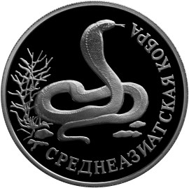 Среднеазиатская кобра. Реверс
